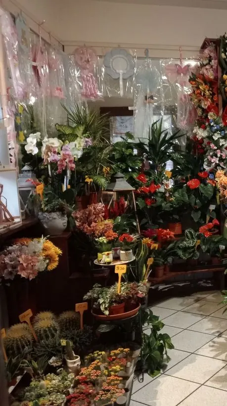 Fiori recisi - esempio 2